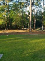20180501_075419.jpg