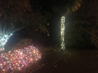 IMG_5740.jpg