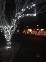 IMG_5683.jpg