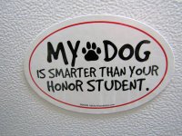 My Dog.jpg