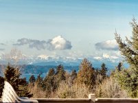 Feb. 21, 2019 great view and eagles flying & mating.jpg