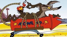 wile e coyote.jpg