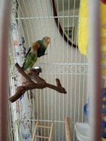 IMG-20190629-WA0007.jpeg