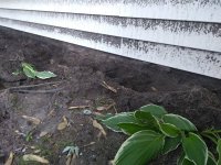 Resized_dirt.jpg