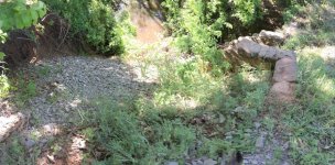 IMG_5776.jpg