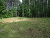 20190504-11.jpg