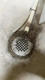 Drain.jpg