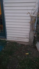 storm damage 3.jpg