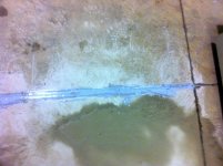IMG_0220.jpg