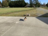 57039984133__E2887036-F97F-4CB7-9634-7689BE32DD10.jpg