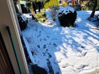 shoveled snow and ice off driveway & sidewalk.jpg