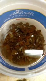 IMG_20190606_130141269.jpg