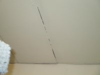 IMG_2649.jpg