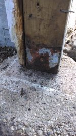 IMG_20190725_102826736.jpg