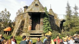 WP_20171120_023.jpg