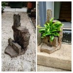 20190705_145233-COLLAGE.jpg