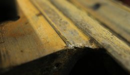 IMG_7084CS.jpg