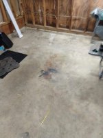 IMG_20190924_080055496.jpg