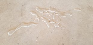 treated 1_spill.jpg