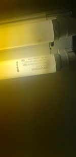 20190815_083713.jpg