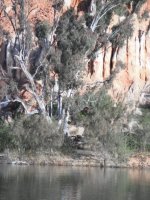 DSCF2448.JPG