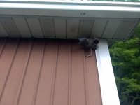 IMG_20190703_203756647.jpg