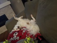 20190313_200704_1552525638899.jpg