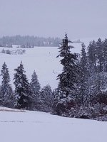 20190123_065936.jpg 20190123_065936.jpg