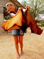 Flying Fox.jpg