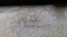 20190312_015803.jpg