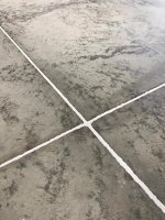 sika3.jpg