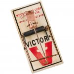 Victor Mouse Trap.jpg
