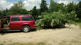1st load of tree trimmings.jpg