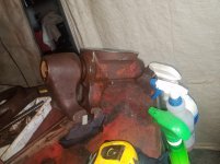 20191120_054254.jpg