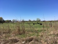 IMG_5531.JPG