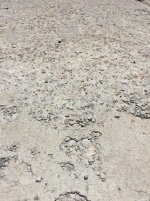 46AB4B68-5D0F-4821-BC17-D4FD4DCE3BF5.jpg