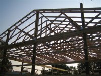 IMG_2822 (Custom).JPG