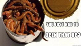 worms.jpg
