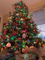 Tree.jpg Tree.jpg