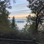 views on 4 mile walk with T & dog.jpg