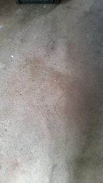 9d9bd4cd-6956-44e6-813f-db75da7cc0df.jpg