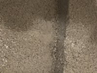 DAA43BE9-E41E-4CD4-AD18-37059CE4A34D.jpg