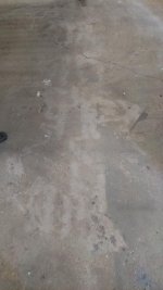 IMG_20190916_124258434.jpg