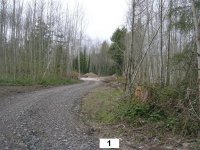 DSCN2247.jpg