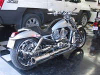 V-Rod.jpg