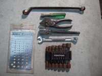 Flea two Dollar Lot.jpg