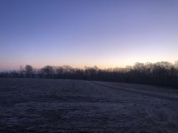 IMG_8935.jpg