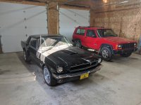 mustang 1.jpg
