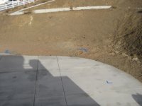 Backyard pic2.JPG