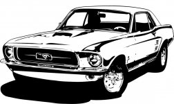 mustang.jpg